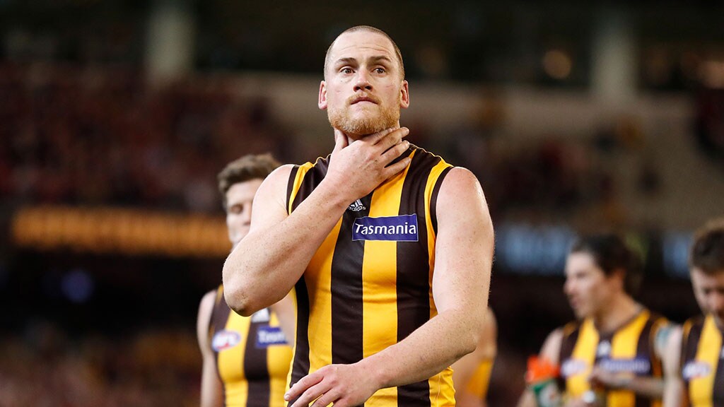 Jarryd Roughead retired as captain - AFL, Hawthorn Hawks, Jarryd Roughead